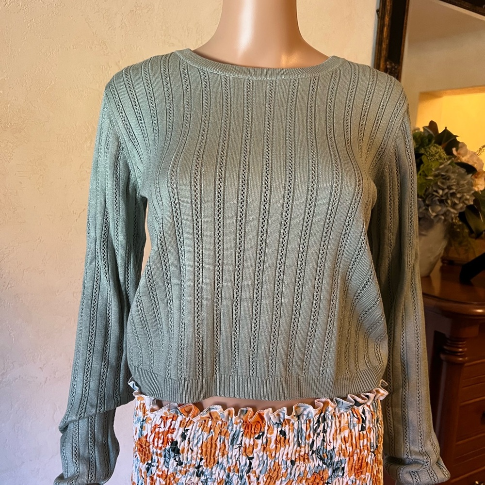 NWT Francesca’s Blue Rain Pointelle Top
